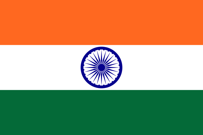 インドの国旗(大)