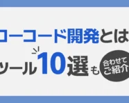 ローコード開発とは